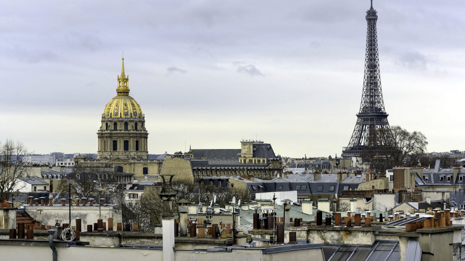 Toitures de zinc parisiennes au petit matin
